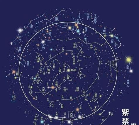 星位|星定式